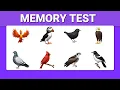 VISUAL MEMORY TEST Train your visual memory