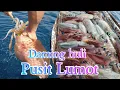 Lagu Episode 1 | Subid Mabisang Panghuli ng Pusit Lumot