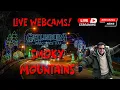 26 LIVE Webcams in the Smokies - Explore Tennessee