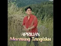 Download Lagu Apriilan meraung  Tangisku ziell ferdian