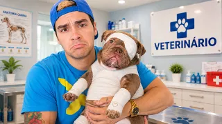 O Meu Cachorro Novo está DOENTE!