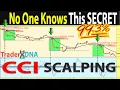 The Only CCI SCALPING Day Trading Strategy You Will Ever Need Full Tutorial