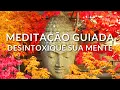 Download Lagu MEDITAÇÃO GUIADA: DESINTOXIQUE SUA MENTE (LIMPEZA DOS PENSAMENTOS LIMITANTES)