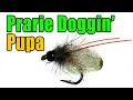 Download Lagu Prairie Doggin' Caddis Pupa Fly Tying - James Spicer Fly Pattern