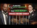 Ball Pythons Put on Trial And the DNA Test SNITCHED