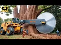 Download Lagu Máy Cưa Xích Nhanh nhất, Cực Kỳ Nguy Hiểm Với Máy Cưa Khổng Lồ | Máy Móc Hạng Nặng Lớn Nhất #31