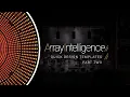 ArrayIntelligence Episode 6 Quick Design Templates - Part 2