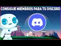 How to Get Members on Your Discord Server with Disboard