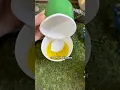 Simple Science - Dinosaur Fossils