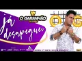 Download Lagu O GARANHÃO DO FORRÓ VOL.02 (JÁ DESAPEGUEI ) LANÇAMENTO 2020