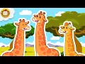 Download Lagu Lagu Anak Anak | Lagu Hewan | Jerapah 🦒 | Mengenal Binatang | BaLiTa