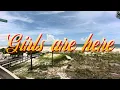 Trip to St Pete Beach and Crabby Bills
