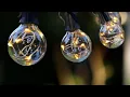 Novtech Outdoor Patio String Lights 58FT 50Bulbs Waterproof LED Outdoor String Lights