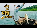 Download Lagu আজ বড়শিতে এটা কি মাছ পেলাম😁