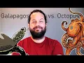 Multi-Objective Optimization with Octopus Tiny House Challenge 02
