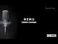 DENNY CAKNAN - NEMU KARAOKE + LIRIK NO VOCAL (PEPUJANE ATI KINARYO KEMBANGE WANGI)