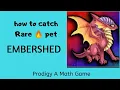 How to catch Rare fire Pet