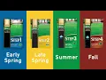 Build a Thick Green Lawn Season After Season Scotts 4-STEP Program