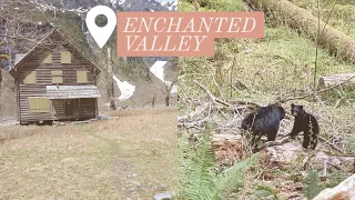 Download Enchanted Valley Hike to the Chalet MP3