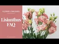 Everything you wanted to know about Lisianthus but were too afraid to ask by Flower Moxie