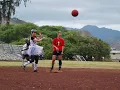 Island Babes 2025