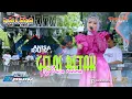 CRACKED GLASS - ANISA RAHMA NEW PALLAPA | RAMAYANA AUDIO | TEGALSARI - TEGAL CITY