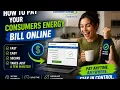 How to pay your Consumers Energy bill online