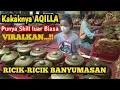 Download Lagu KAKAKNYA AQILLA PUNYA SKILL LUAR BIASA PEMBONANG RICIK RICIK BANYUMASAN || BANYUMAS