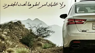 شيلة اسكت عساهم سكاتي يسكتون 