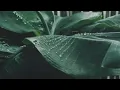8D Rain: Relaxing Rain sounds with distant thunder • Rain sounds for sleeping • 8d Thunderstorm
