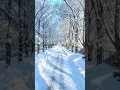 Download Lagu Sergey Grischuk Melody Relaxing Music