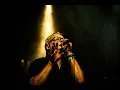 Download Lagu IK HOU VAN U - STIJN MEURIS (Live@LageLandenSessie 2018)
