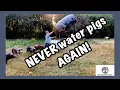 World s BEST Pig Waterer for Under 100 - Pastured Pork Automatic Pig Waterer