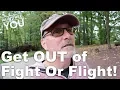Download Lagu Get out of the fight or flight stress response.