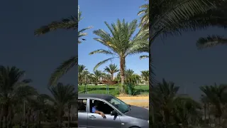 دوار الإنتر العقبة الأردن Aqaba سياحة 