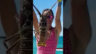 I caught a lobster! And made the BEST EVER tacos for lunch.#spearfishing #boatlife #lobster #tacos