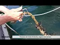 Boatasy ROPECLEANER