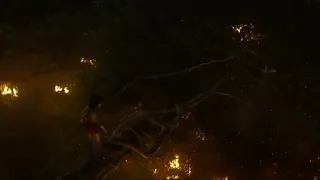 ספר הג ונגל 2016 מוגלי נגד שירחאן חלק 2 