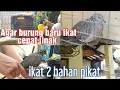 Download Lagu Intip semua koleksi MT2 dari yang kopi o sampai berkaturangga