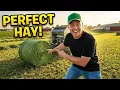 Farming Simulator 25 Grass Hay - Don t Get This Wrong