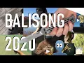 Download Lagu BEST Butterfly Knife Flippers 2020, what a year (Balisong Knife Trick Compilation)