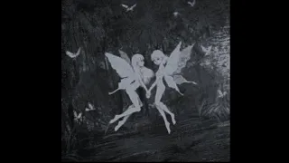 Pharaoh одинокая звезда Speed Up 