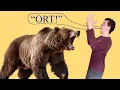 Download Lagu What are the Original English names of Animals?