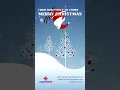 Merry Christmas from Angleton ER