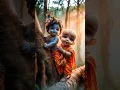 Download Lagu 🌺🌸#Jai #shree #Krishna #and #Sudama  #shortsviral #song 🌼