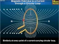 Class10 | NCERT | Magnetic Field due to a Current through a Circular Loop | Science | CBSE |