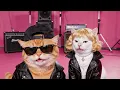 ROSÉ & Bruno Mars - APT. (MEOW MEOW)