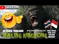 Download Lagu DJ REMIX THAILAND - MALING KINGKONG - VIRAL TIKTOK | VERSI INDONESIA (GOYANG KINGKONG) TERBARU 2020