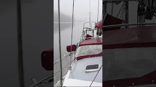 A foggy morning on the water