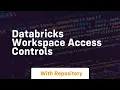 Databricks workspace access controls